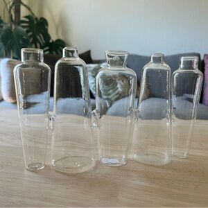 CB2 Transparent Glass Bud Vase Set